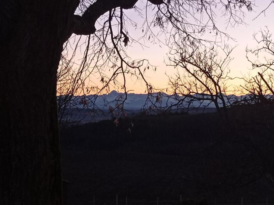 Domaine De Buffevent *